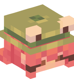 Minecraft head — People