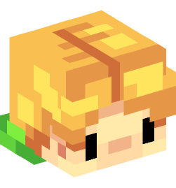 Minecraft head — People