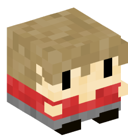 Minecraft head — Decor