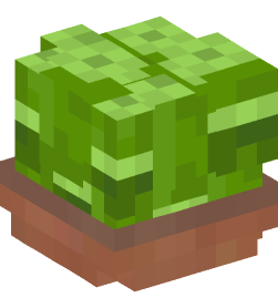 Minecraft head — Plants