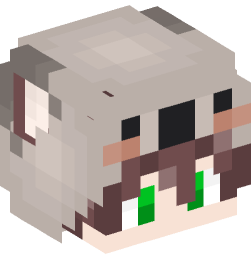 Minecraft head — People