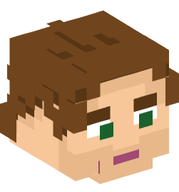 Minecraft head — People