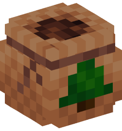 Minecraft head — Decor