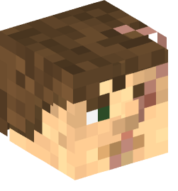 Minecraft head — People