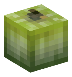 Minecraft head — Plants