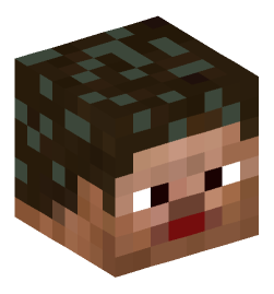 Minecraft head — People