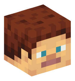 Minecraft head — People