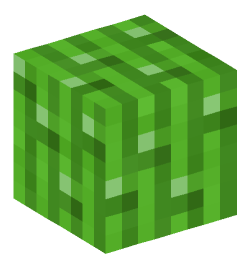 Minecraft head — Plants