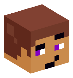 Minecraft head — Miscellaneous