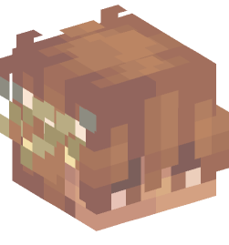 Minecraft head — People