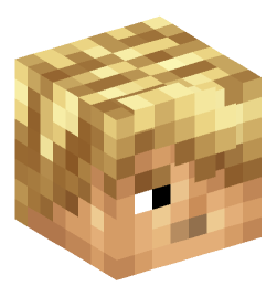 Minecraft head — People