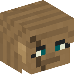 Minecraft head — Decor