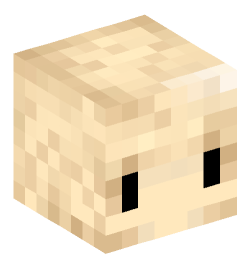 Minecraft head — People