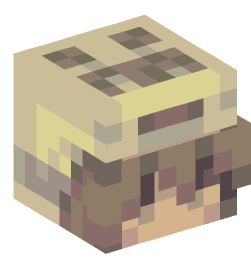 Minecraft head — People