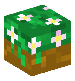 Minecraft head — Decor