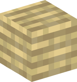 Minecraft head — Blocks