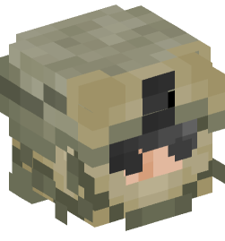 Minecraft head — People