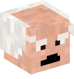 Minecraft head — People