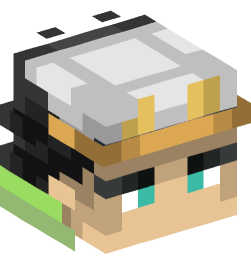 Minecraft head — People