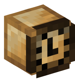 Minecraft head — Decor