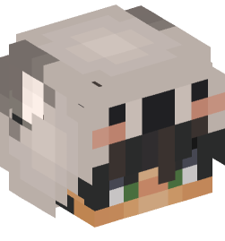 Minecraft head — People