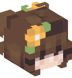 Minecraft head — People