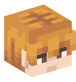 Minecraft head — People