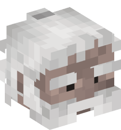 Minecraft head — People