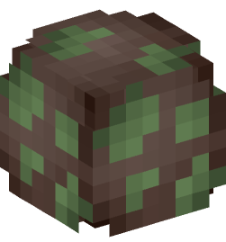 Minecraft head — Decor