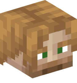 Minecraft head — People