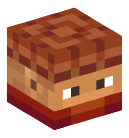 Minecraft head — People