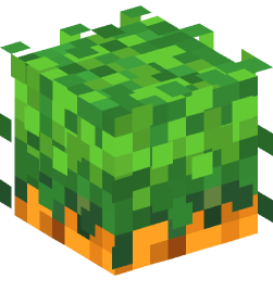 Minecraft head — Plants