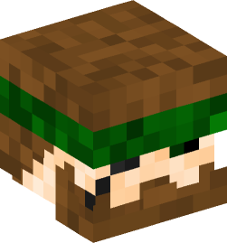 Minecraft head — People