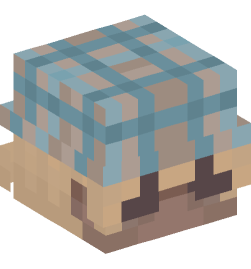 Minecraft head — People