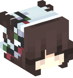 Minecraft head — People