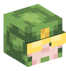 Minecraft head — People