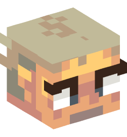 Minecraft head — People