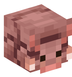 Minecraft head — Animals