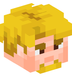 Minecraft head — People