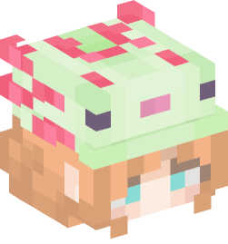 Minecraft head — People