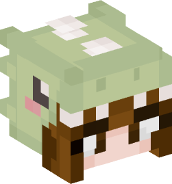 Minecraft head — People