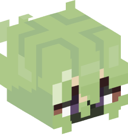 Minecraft head — People