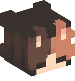 Minecraft head — People