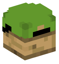 Minecraft head — Decor