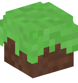 Minecraft head — Blocks