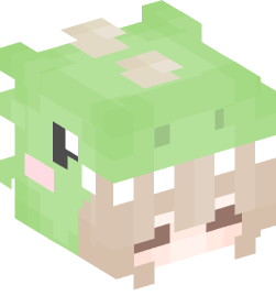 Minecraft head — People