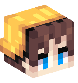 Minecraft head — People