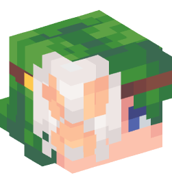 Minecraft head — People