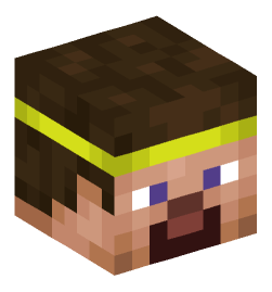 Minecraft head — People