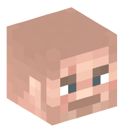 Minecraft head — People